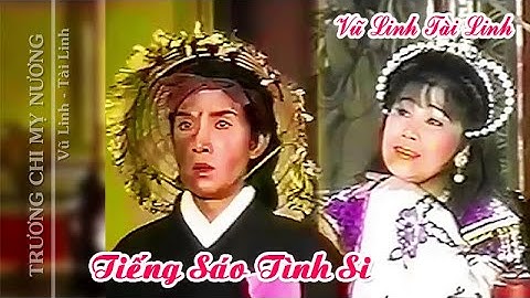 Nhạc hồ quảng | TRƯƠNG CHI MỴ NƯƠNG (Vũ Linh, Tài Linh) trích Long Phụng Khúc 1 | Cải Lương Tôi Yêu