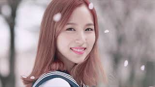 Wattpad trailer
