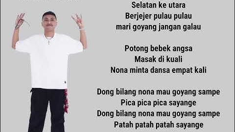 Pica Pica 2 #lagutimur #trending #viral #liriklagu #juanreza #picapica #shorts #velocity