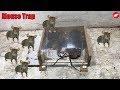 Glue Mouse Trap/How to make a Mouse Trap Homemade/Automatic saving a lot of Rat/Glue Trap