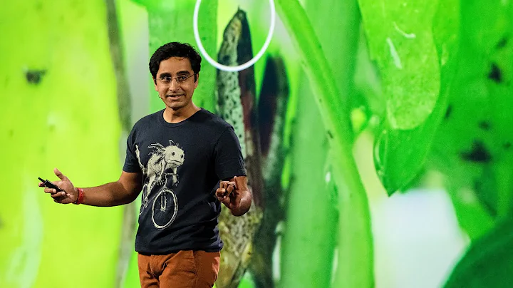 What Do Insects Do When Nature Calls? | Saad Bhamla | TED