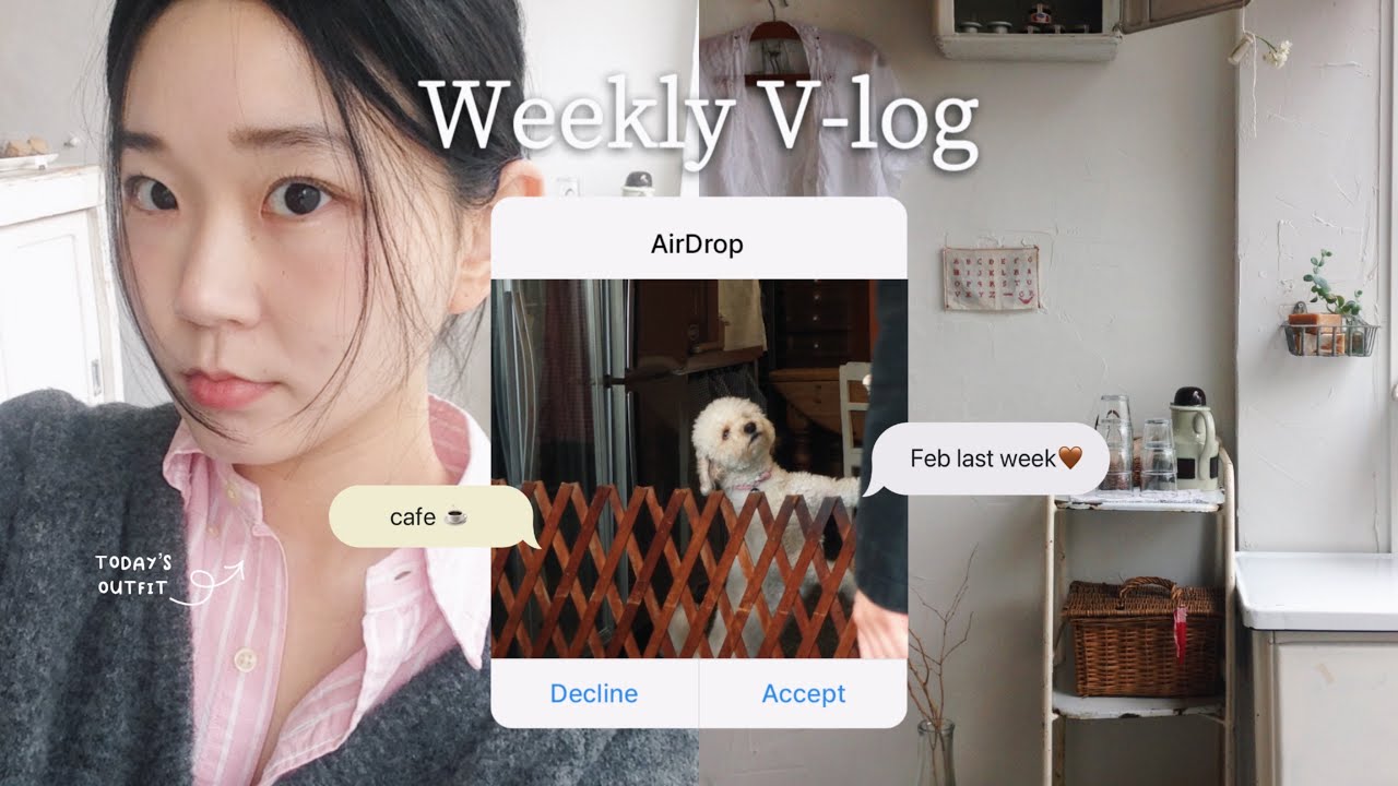 2월 마지막 주 📁 | 일상 브이로그 • 포항 눈 ⛄️ • 포항 카페 재미 • 우즈 콘 티켓 수령 • 드디어 퇴사 ! • 엽떡 닭발 • 왕과사는남자 • 단종 보러 영월 가야겟슨 🥹