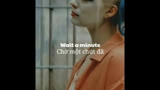 [Vietsub   lyrics] Butterflies - Zendaya