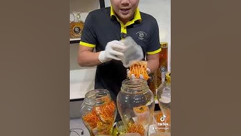 Cách ngâm rượu đông trùng hạ thảo tươi #hplongan
