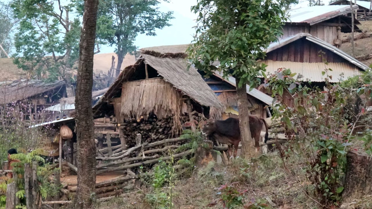 MUS ZOV POOM KAUV RAUG TSOV TOM/OCT/18/2021