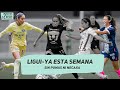 ¡Lista la liguilla! Así terminó la fase regular de la Liga MX Femenil | Apuntes de Rabona