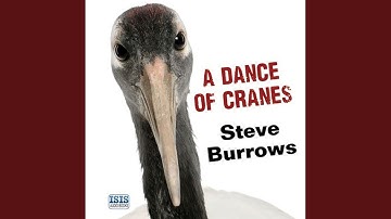Chapter 26.2 - Dance of Cranes, A