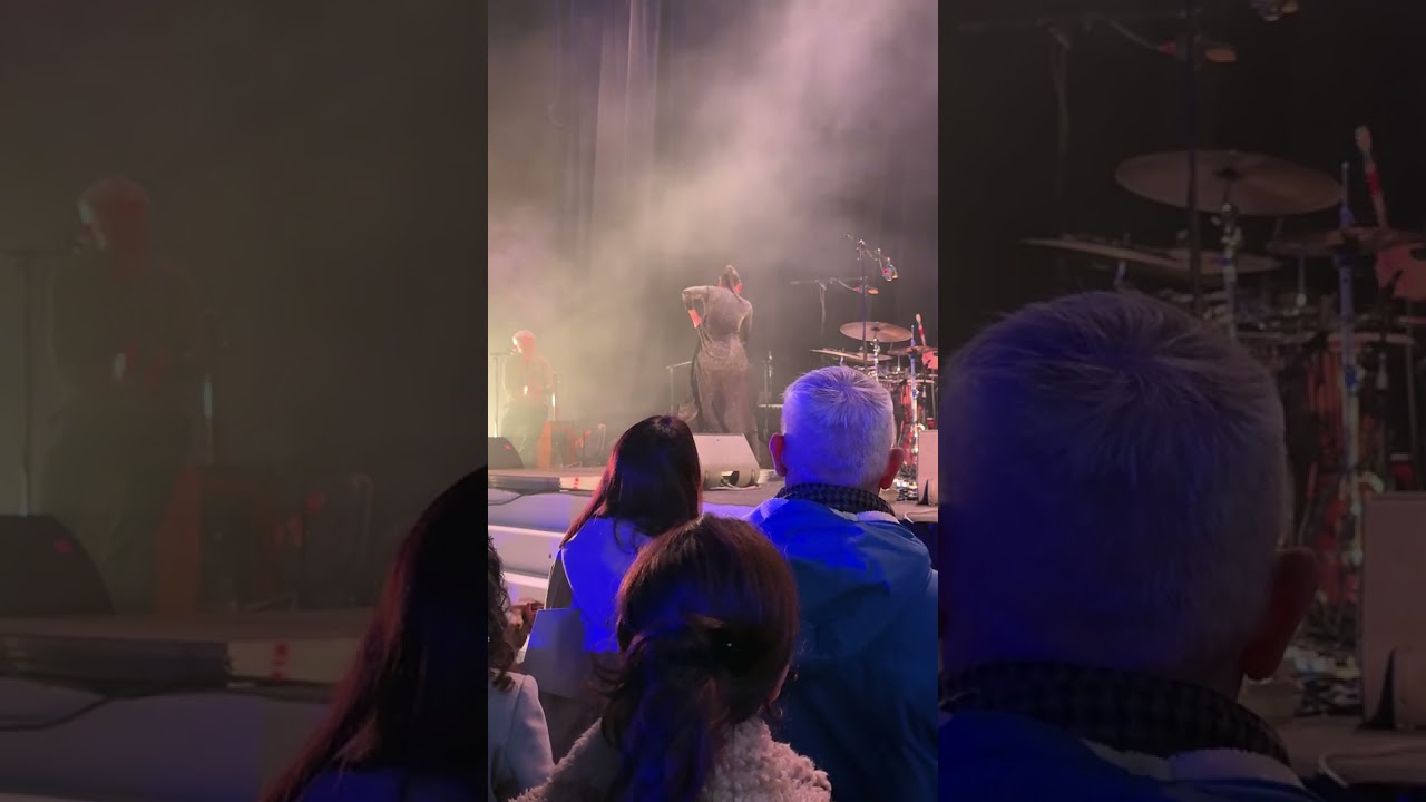 Flemenko barselona #espanya 