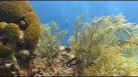 Mighty Machines   Submarine