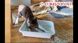 Funny Animal Videos 2024 - Funniest Dogs and Cats Videos #212