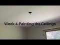 House Reno Week 4- Painting the Ceilings