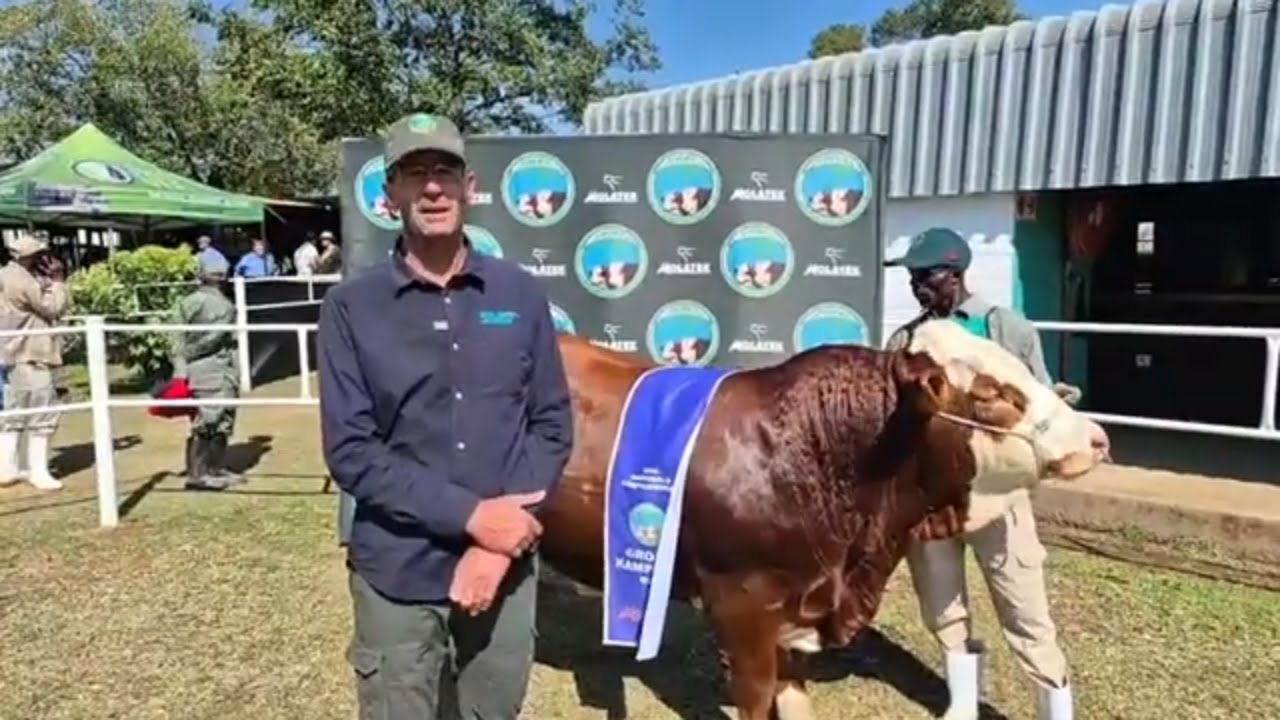 Ons praat met Peter Abrahamse van River Valley Simmentalers by Bloem Show 2024