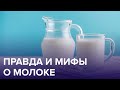 Правда и мифы о МОЛОКЕ | Доктор 24