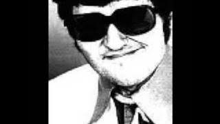 Elvis j. Kurtovic - U modi je biti supak