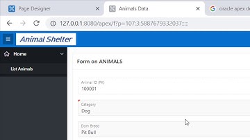 APEX06 of 30: See the source code of a report.  Object Browser has a “create lookup table” feature.