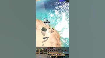 Why do the Anima Island