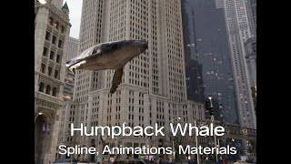 Animated Whale Tutorial Unreal Engine