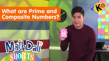 What are Prime and Composite Numbers | MathDali