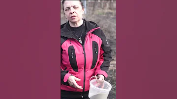Готовим лунку для посадки розы ✿