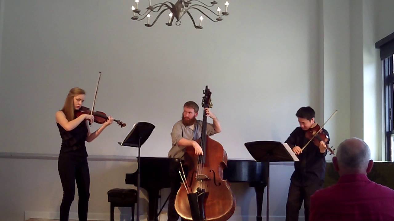 Marcus Mumford/Mumford and Sons Arr. Time for Three: Little Lion Man