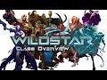 WildStar: Class Overview