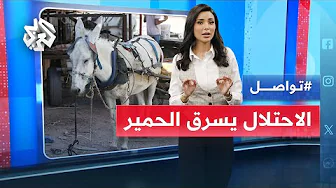إسرائيل تنهب الحمير