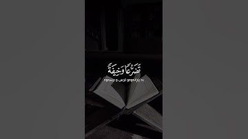القران الكريم هو جنة، هو رفعة، هو هداية،هو  سبيل اسعاد ودرب امان.