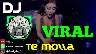 DJ TE MOLLA FULL BASS VIRAL TIKTOK | Gila DJ