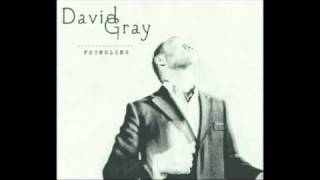 Holding On David Gray chords