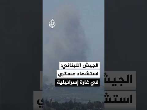 الجيش اللبناني: استشهاد عسكري وشقيقه في غارة إسرائيلية