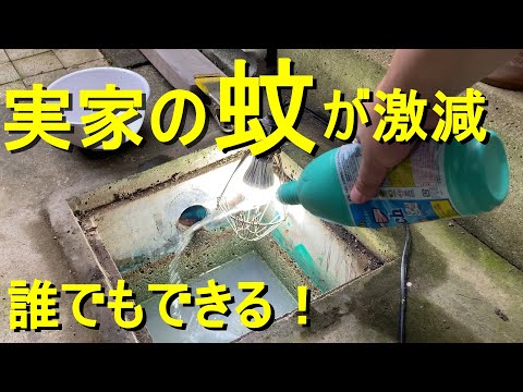 鳥浴盆の蚊対策、たったこれだけの簡単な方法で解決