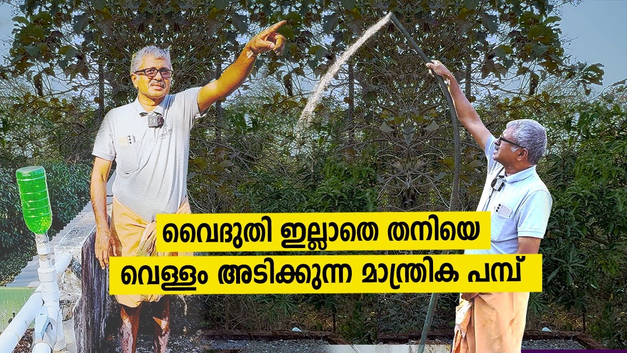 വൈദുതി വേണ്ടാ വെള്ളം തനിയെ അടിക്കുന്ന മാന്ത്രിക പമ്പ് | Hydraulic Ram Pump