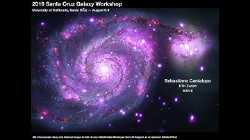 Sebastiano Cantalupo: Illuminating the Cosmic Web with Fluorescent Lyman-Alpha Emission
