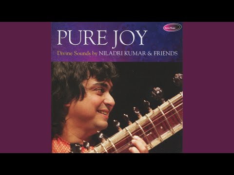 Pure Peace I - Raag Chandranandan (Instrumental)