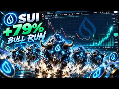 SUI/USDT +79%  is among the projects showing signs of a new bull market.