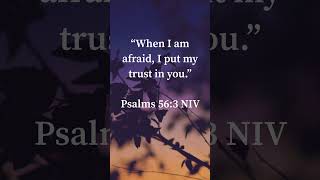 Morning Devotion: Psalms 56:3