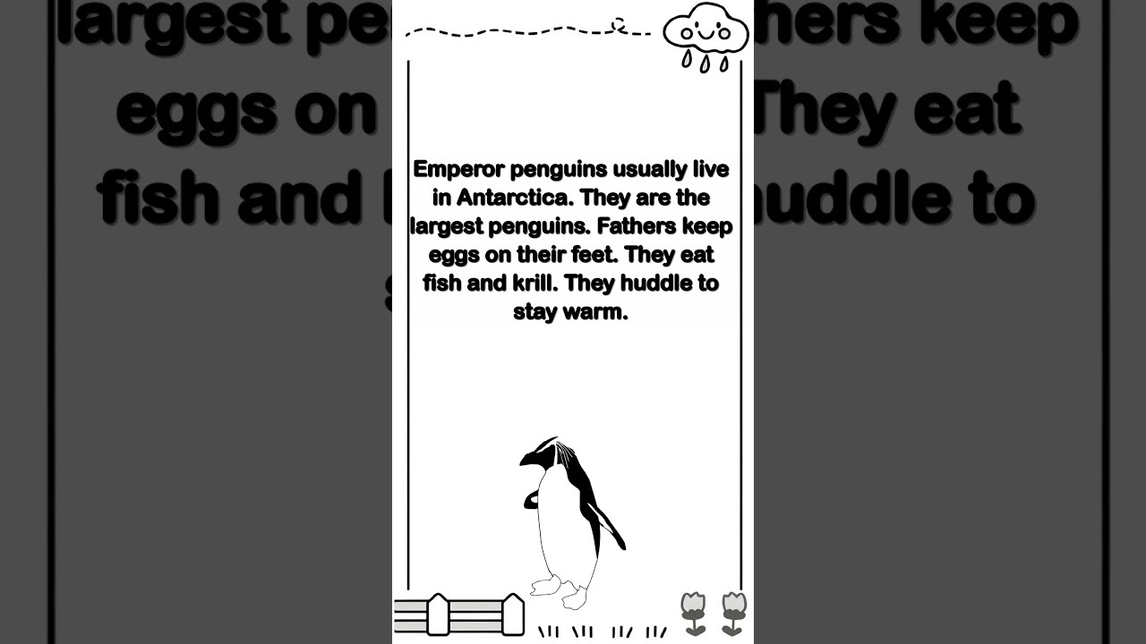 English Listening for Beginners | Amazing Emperor Penguins 
