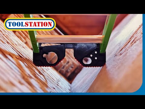 Oasis of the Seas Kids Tip
