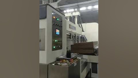 Shanghai Dinglong Flexo - Bottom series printer