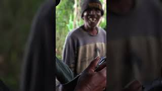 Por qué es peligroso cultivar vainilla en Madagascar