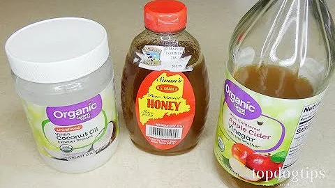 4 Natural Home Remedies for Dog Allergies