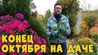 Черенкование роз осенью. Как правильно обрезать малину? Работы в саду и огороде в октябре Черенкование роз осенью. Как правильно обрезать малину? Работы в саду и огороде в октябре