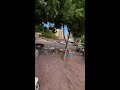云观察直播
