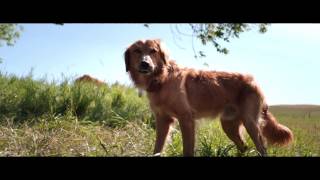 La Razón De Estar Contigo I En Cines 2 De Febrero