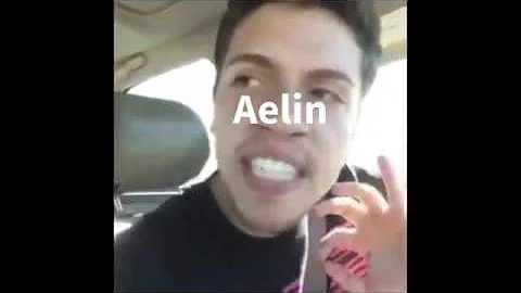 Who does Aedion end up with?