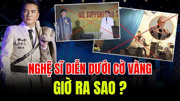 Những nghệ sĩ biểu diễn dưới CỜ VÀNG ba sọc đỏ giờ ra sao? Vô tình hay CỐ Ý? | Duy Ly Radio