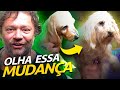 FAZENDO UMA TRANSFORMAÇÃO NAS PELUDINHAS! | A CASA DOS BICHOS