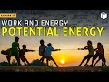 Potential Energy | Chapter 11 | Class 9 | PuStack