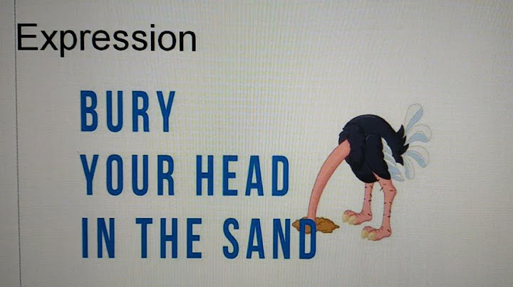 Bury your head in the sand nghĩa là gì năm 2024