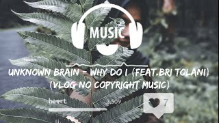 Unknown Brain - Why Do I (feat.Bri taulani)